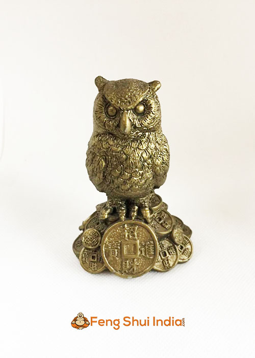 Feng Shui Owl for Wisdom