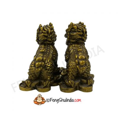 Dragon Lions are legendary Guardians and are prominently used to guard temples, offices, factories and homes