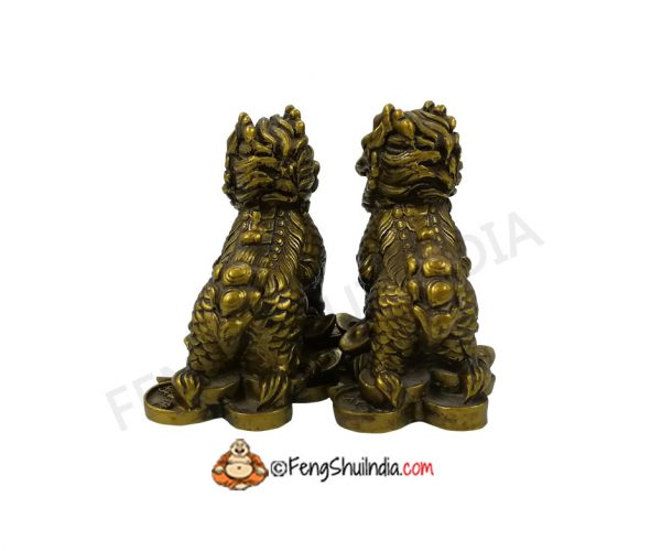 Dragon Lions are legendary Guardians and are prominently used to guard temples, offices, factories and homes