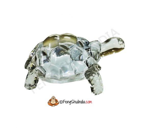 Crystal Turtle