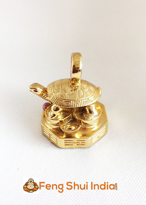 Golden Turtle With Coin