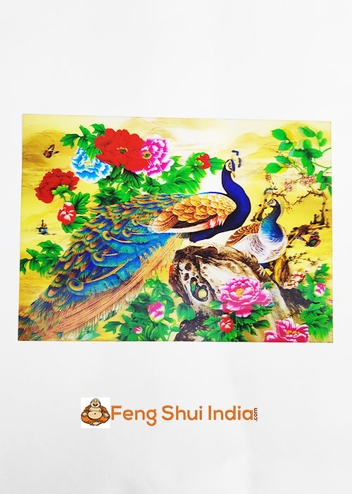 Feng Shui Peacock 3D Card