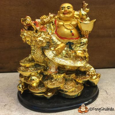 Laughing Buddha on Dragon Turtle