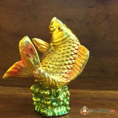 Feng Shui Carp Fish also known as Feng Shui Koi Fish