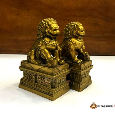 Feng Shui Foo Dogs