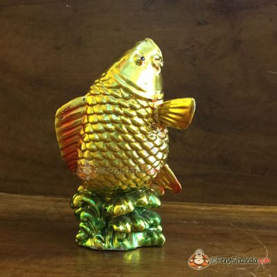 Feng Shui Carp Fish also known as Feng Shui Koi Fish