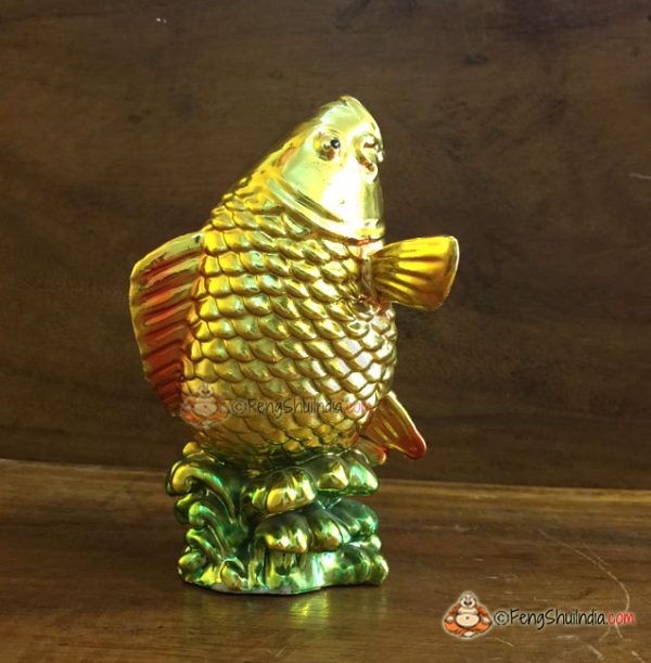 Feng Shui Carp Fish also known as Feng Shui Koi Fish