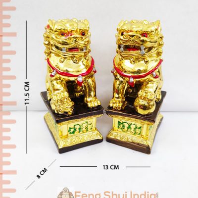 Feng Shui Fu Dogs / Temple Lions