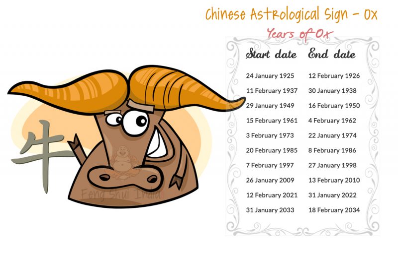 Chinese Zodiac - Year of the Ox