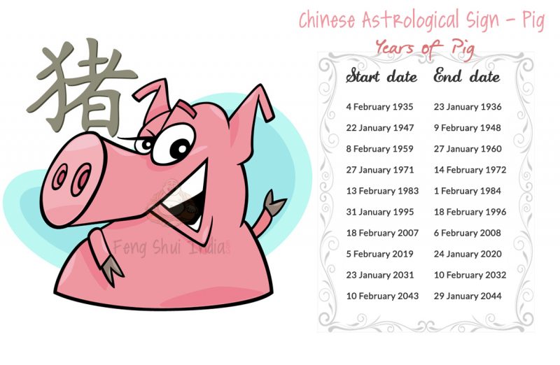 Year of the Pig