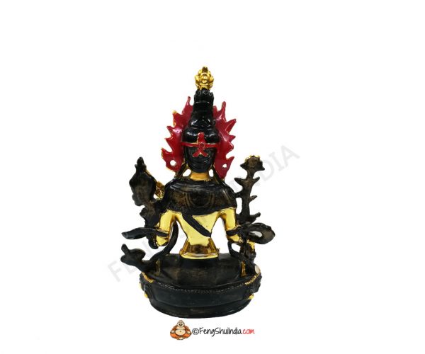 The black Tara