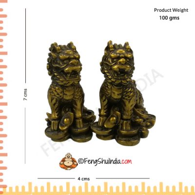 Dragon Lions for Protection