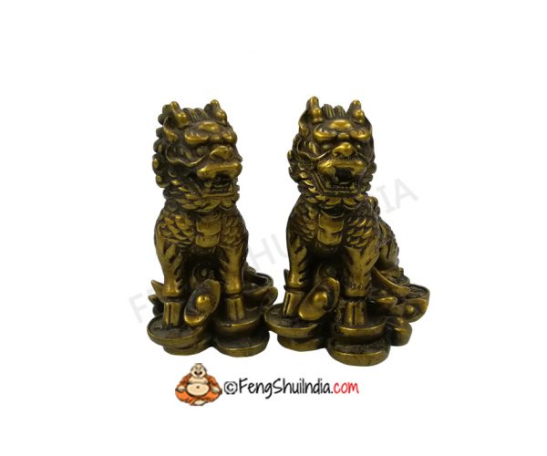 Dragon Lions are legendary Guardians and are prominently used to guard temples, offices, factories and homes