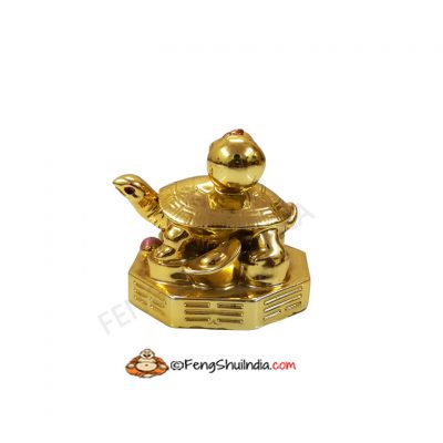 Golden Turtle