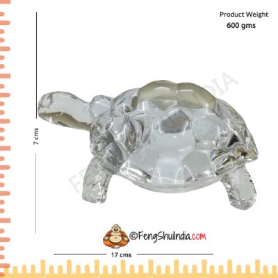 Crystal Turtle