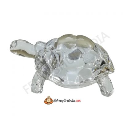 Crystal Turtle