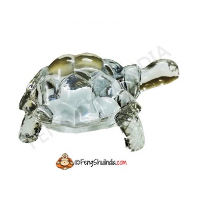 Crystal Turtle