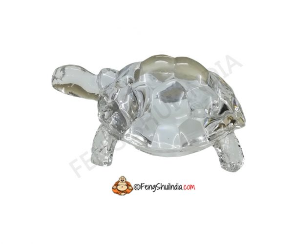 Crystal Turtle