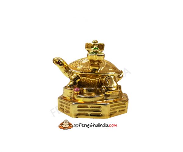 Golden Turtle With RU-YI