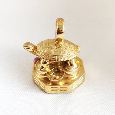 Golden Turtle With Coin