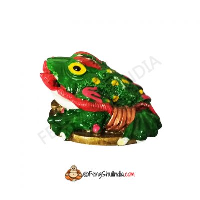 Feng Shui Frog With Ru-Yi Stick