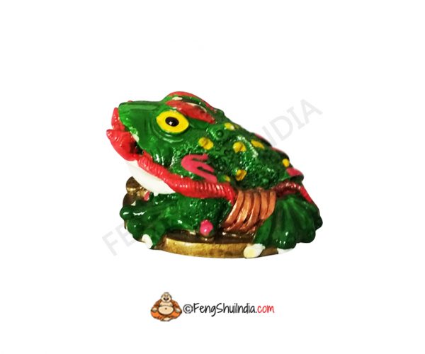 Feng Shui Frog With Ru-Yi Stick