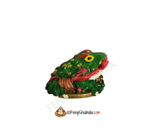 Feng Shui Frog With Ru-Yi Stick