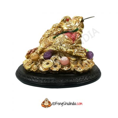 Feng Shui 3 Legged Wealth Frog