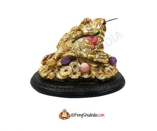 Feng Shui 3 Legged Wealth Frog