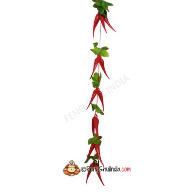 Energised Red Pepper Hangings