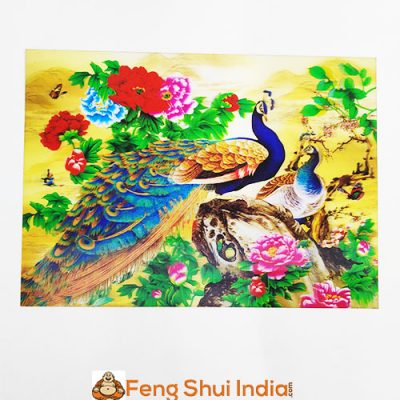 Feng Shui Peacock 3D Card